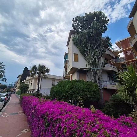 Apartman Cactus House *